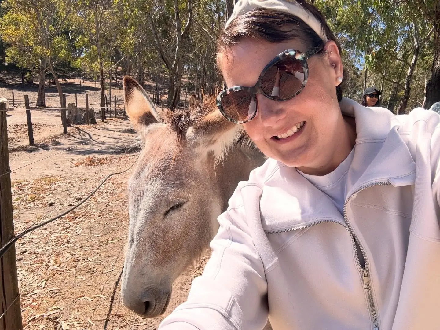 Brun magnétique du Lez - Image 1