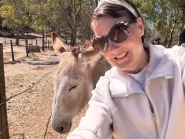 Brun magnétique du Lez