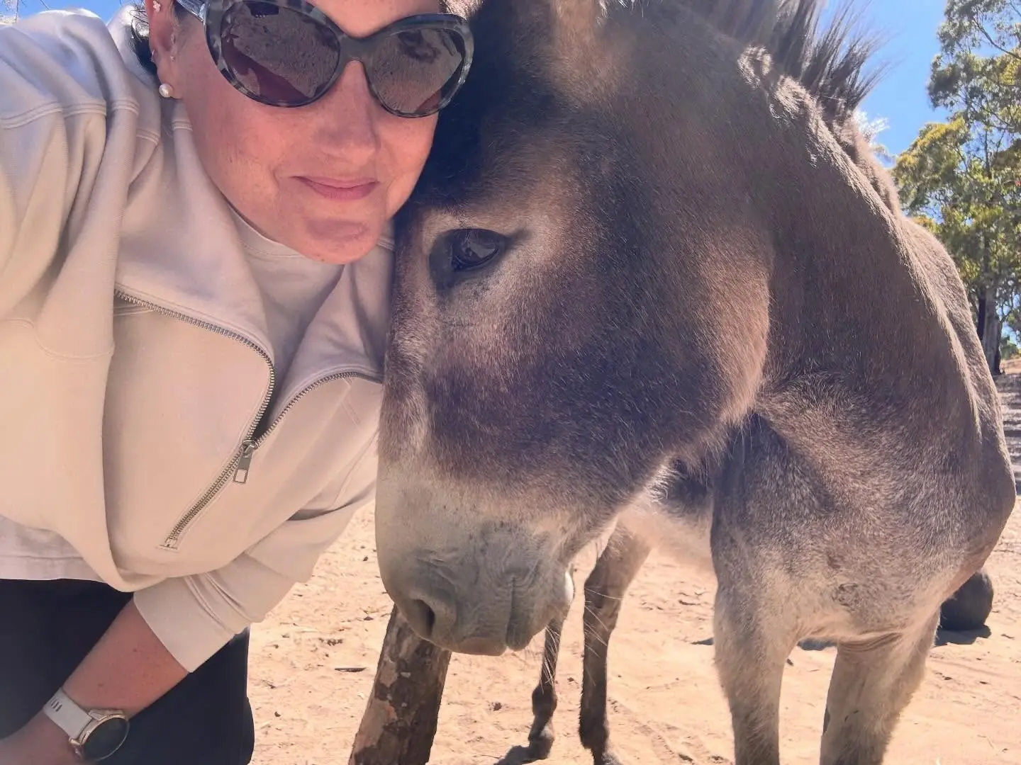 Brun magnétique du Lez - Image 2