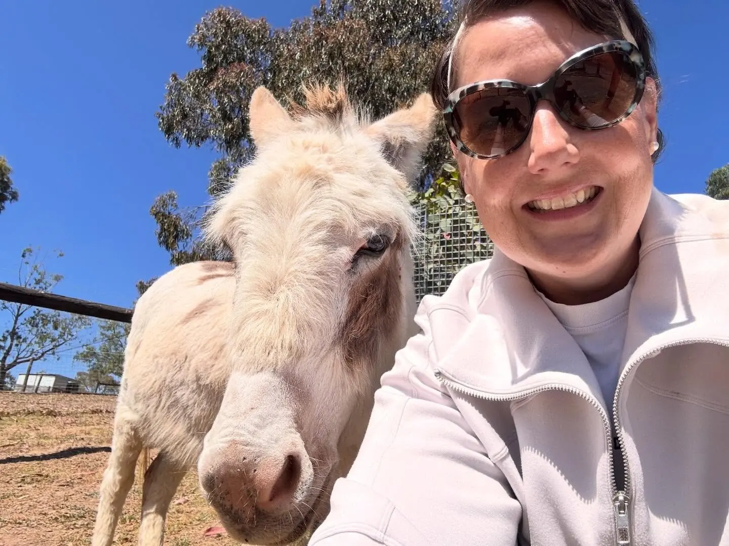 Brun magnétique du Lez - Image 4